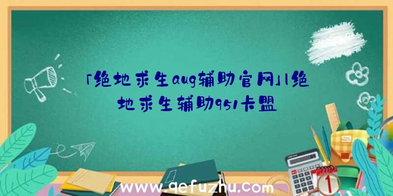 「绝地求生aug辅助官网」|绝地求生辅助951卡盟